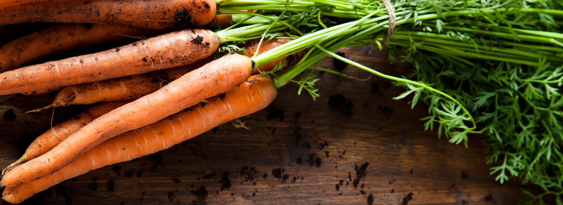 Imagen de nuestras zanahorias